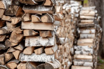 Wholesale Firewood For Sale